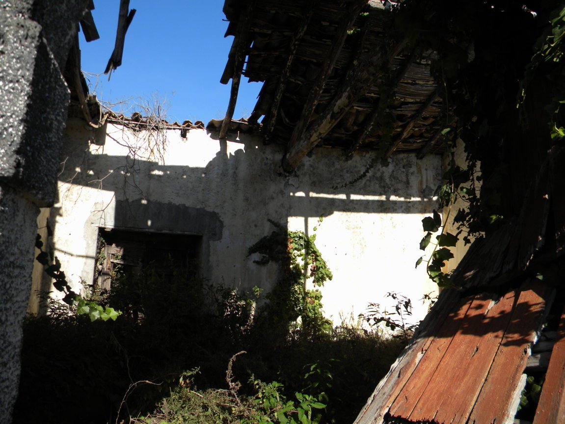 DSCN8122 .JPG